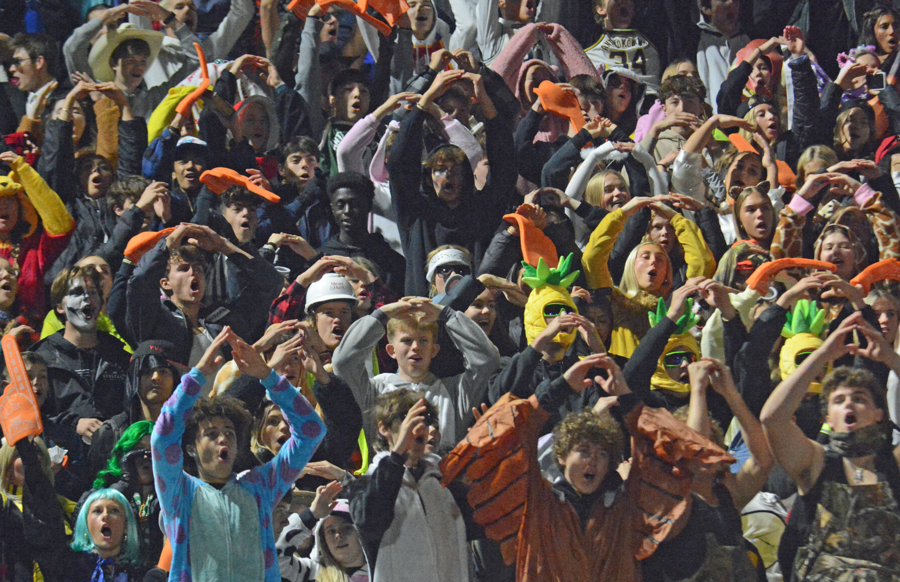 Verona student section